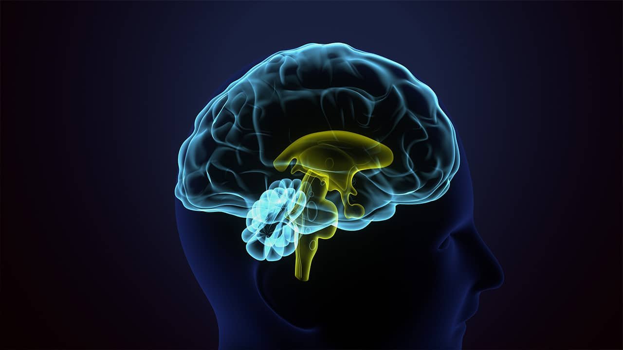 Chi for Maximum Brain Health